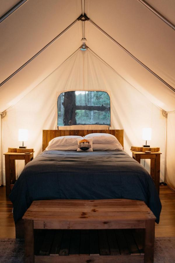布蘭森 Treehouse Cozy Glamping Site酒店 外观 照片