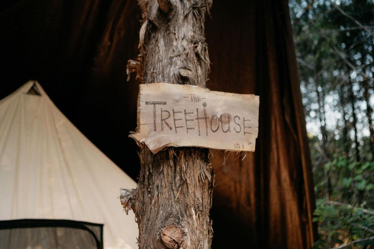 布蘭森 Treehouse Cozy Glamping Site酒店 外观 照片